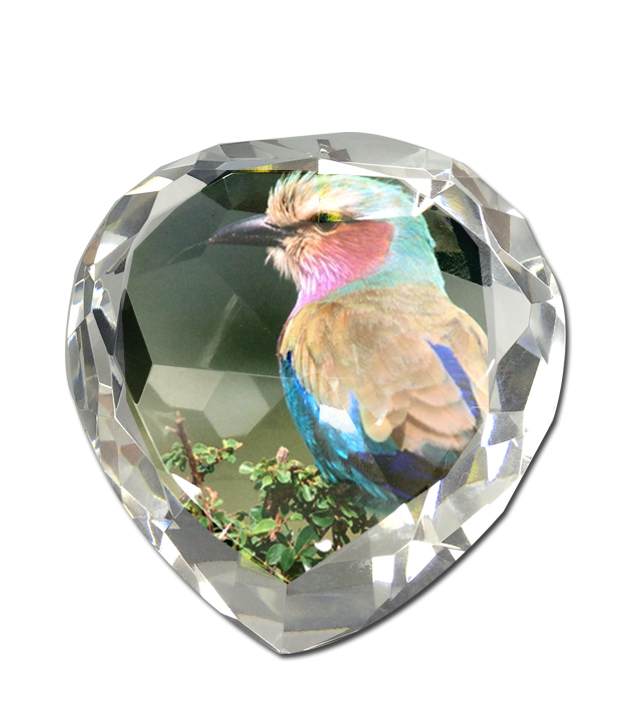 พิมพ์รูป คริสตัล Bird Crystal